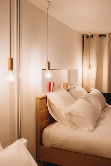 La Vie En Rose - Luxe, Calme & Hypercentre - 3* Apartment Annecy Bagian luar foto