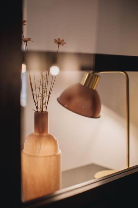 La Vie En Rose - Luxe, Calme & Hypercentre - 3* Apartment Annecy Bagian luar foto